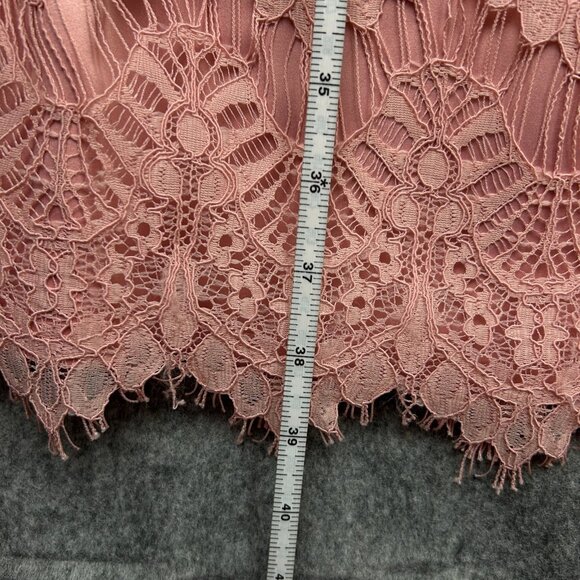 Preston & York Felecia Short Sleeve Lace Sheath Dress Women's Size 12 Pink NWT - Picture 11 of 12